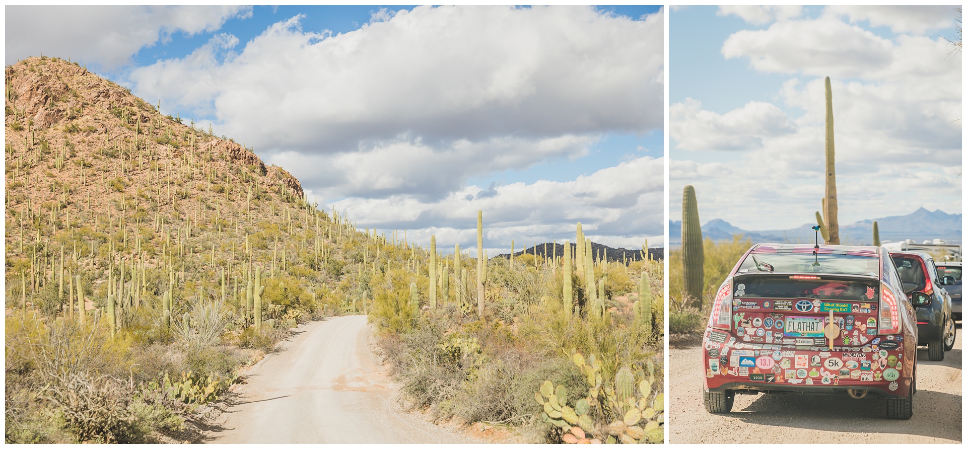 Travel photography in Tucson by Kansas City wedding photographers Wisdom-Watson Weddings.