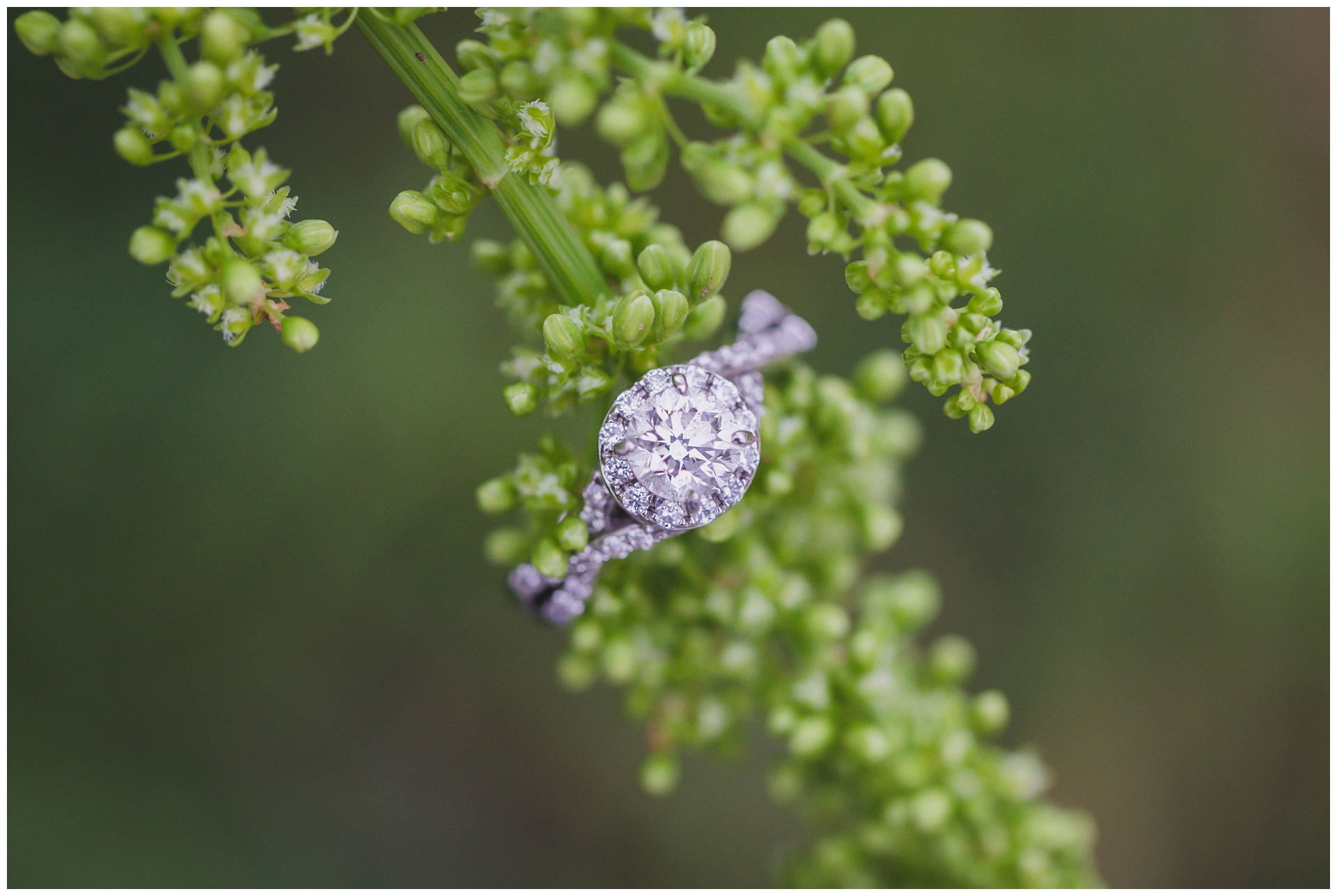 Engagement photography at the Baker University Wetlands in Lawrence, Kansas, by Kansas City wedding photographers Wisdom-Watson Weddings.